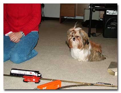 Christmas 2005